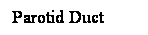 Cuadro de texto: Parotid Duct
