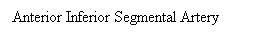 Cuadro de texto: Anterior Inferior Segmental Artery
