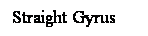 Cuadro de texto: Straight Gyrus
