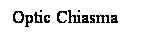 Cuadro de texto: Optic Chiasma
