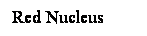 Cuadro de texto: Red Nucleus
