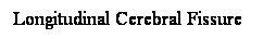 Cuadro de texto: Longitudinal Cerebral Fissure
