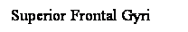 Cuadro de texto: Superior Frontal Gyri
