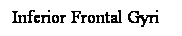 Cuadro de texto: Inferior Frontal Gyri
