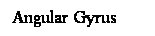 Cuadro de texto: Angular Gyrus
