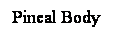Cuadro de texto: Pineal Body
