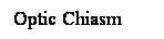 Cuadro de texto: Optic Chiasm
