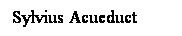 Cuadro de texto: Sylvius Acueduct
