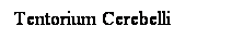Cuadro de texto: Tentorium Cerebelli
