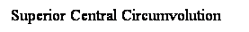 Cuadro de texto: Superior Central Circumvolution
