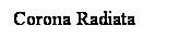 Cuadro de texto: Corona Radiata
