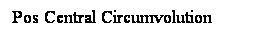Cuadro de texto: Pos Central Circumvolution

