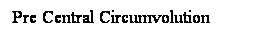 Cuadro de texto: Pre Central Circumvolution
