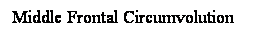 Cuadro de texto: Middle Frontal Circumvolution

