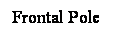 Cuadro de texto: Frontal Pole
