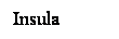 Cuadro de texto: Insula
