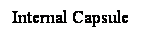 Cuadro de texto: Internal Capsule
