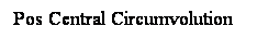 Cuadro de texto: Pos Central Circumvolution
