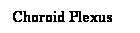 Cuadro de texto: Choroid Plexus
