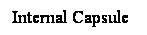 Cuadro de texto: Internal Capsule
