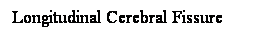 Cuadro de texto: Longitudinal Cerebral Fissure
